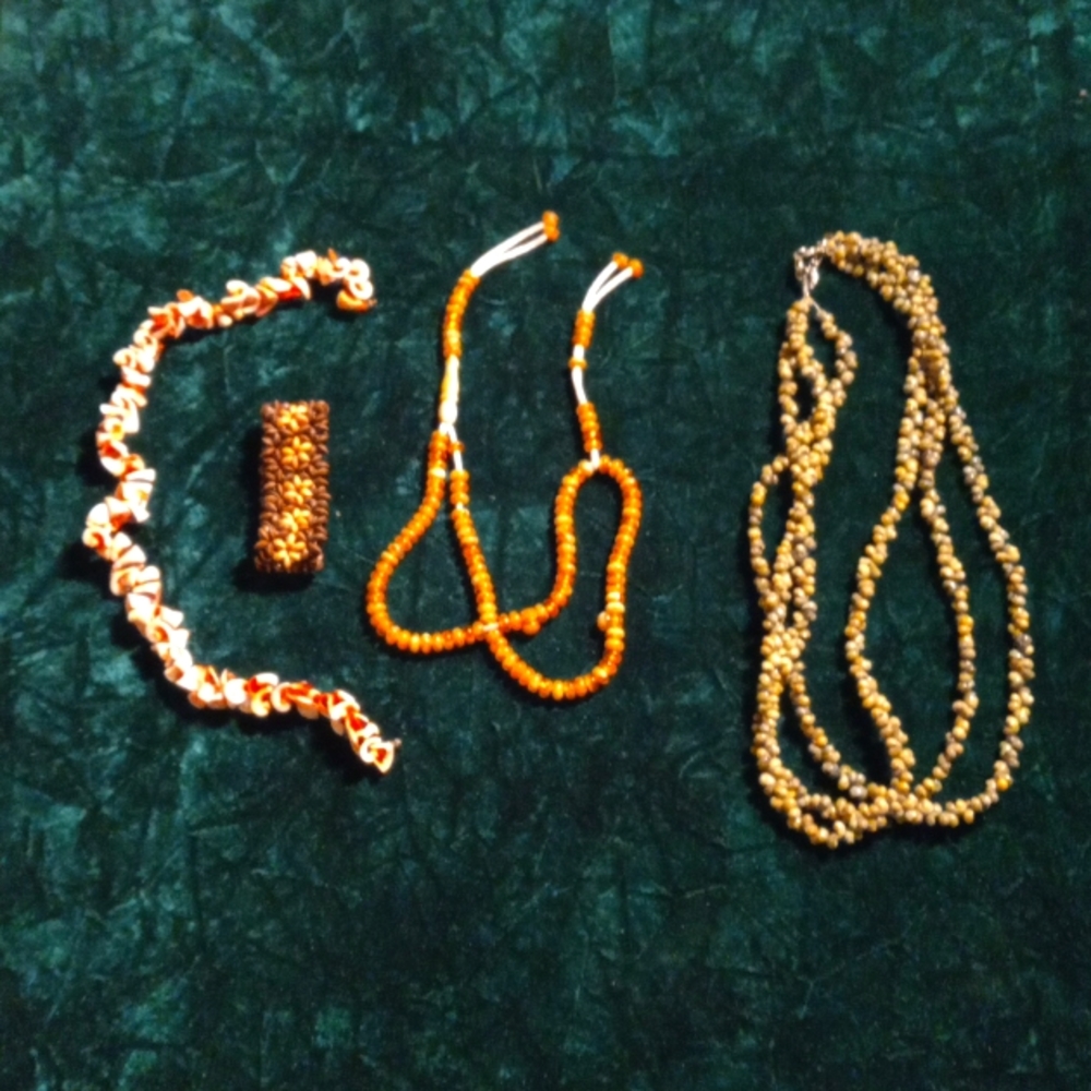 F-21 sea shell lot